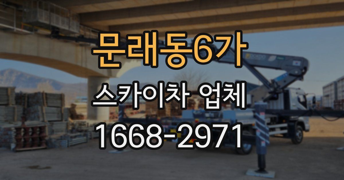 문래동6가 스카이차 업체