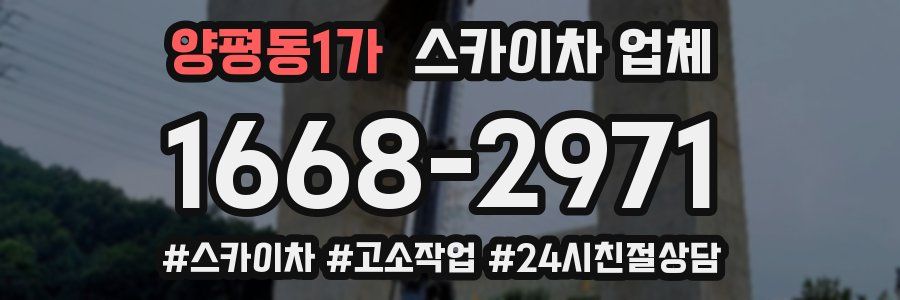 양평동1가 스카이차 업체
