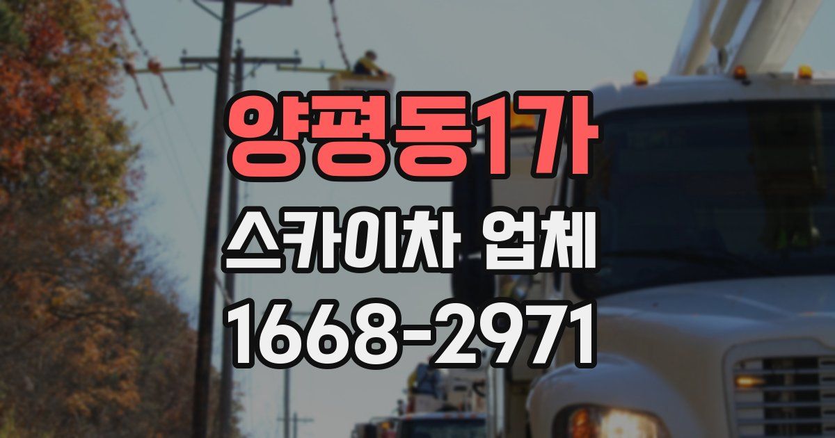양평동1가 스카이차 업체