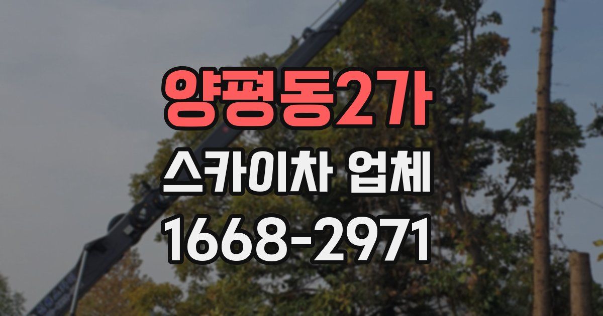 양평동2가 스카이차 업체