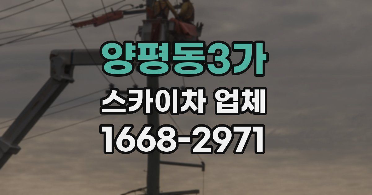 양평동3가 스카이차 업체