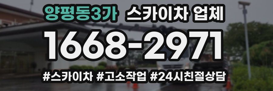 양평동3가 스카이차 업체