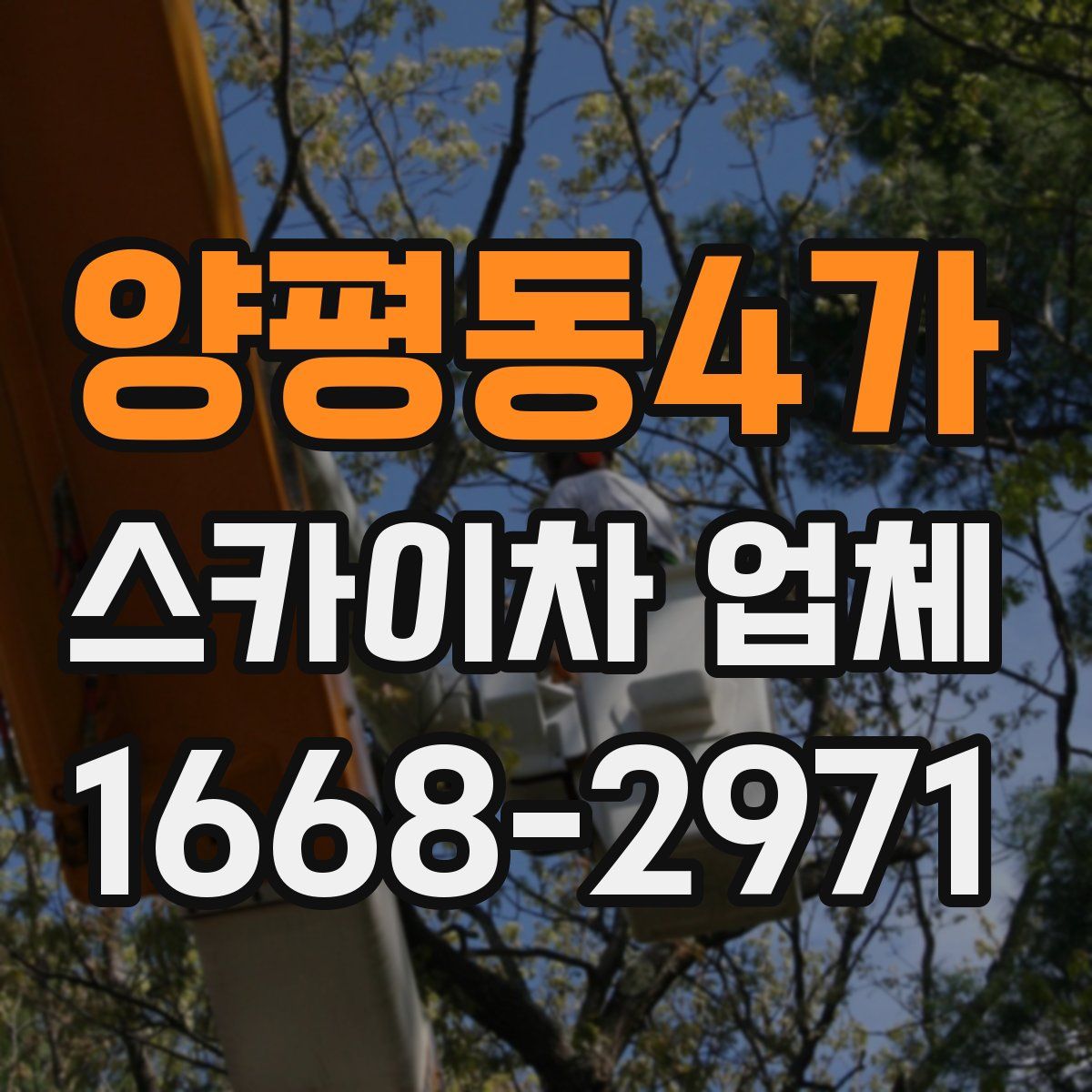 양평동4가 스카이차 업체