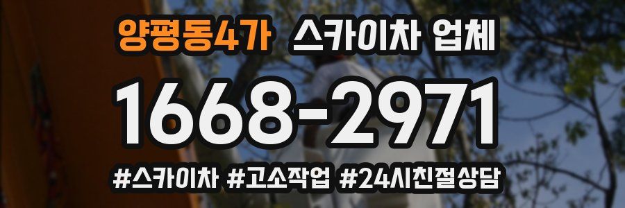 양평동4가 스카이차 업체
