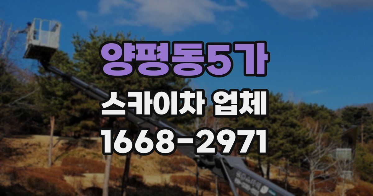 양평동5가 스카이차 업체