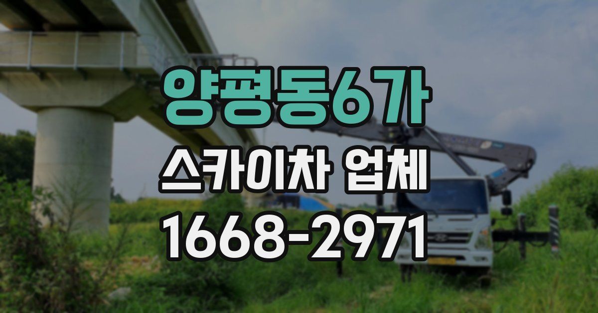 양평동6가 스카이차 업체
