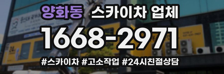 양화동 스카이차 업체