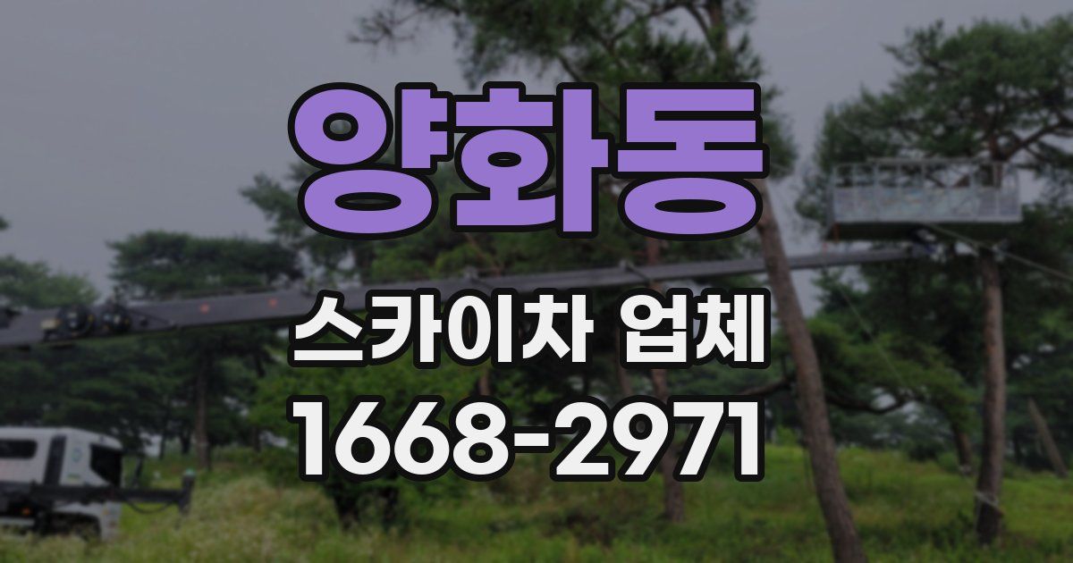 양화동 스카이차 업체