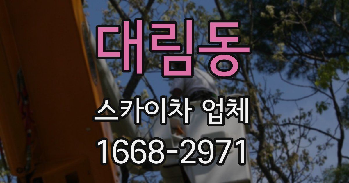 대림동 스카이차 업체