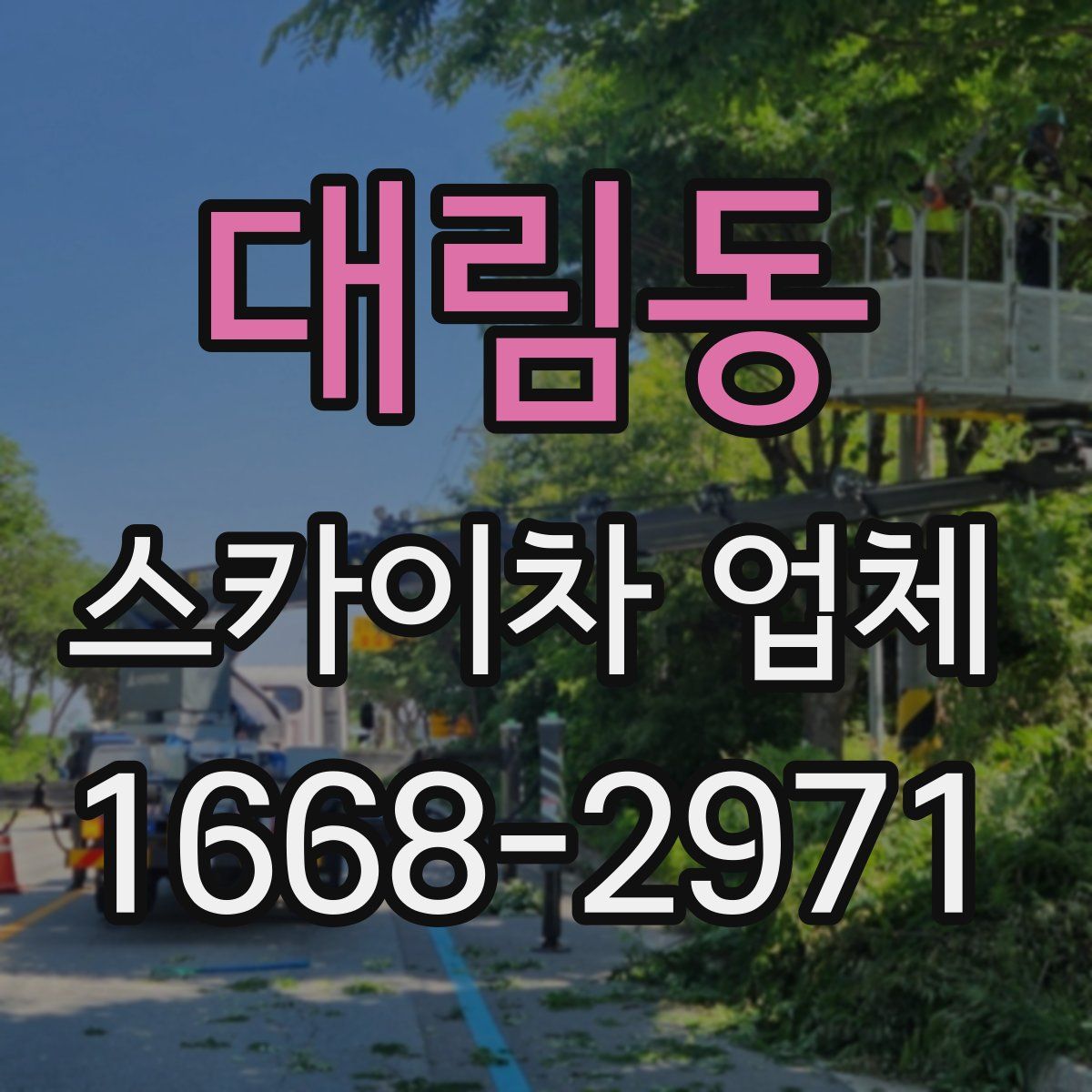 대림동 스카이차 업체