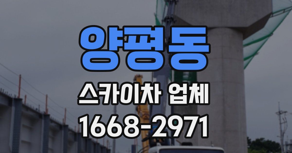 양평동 스카이차 업체