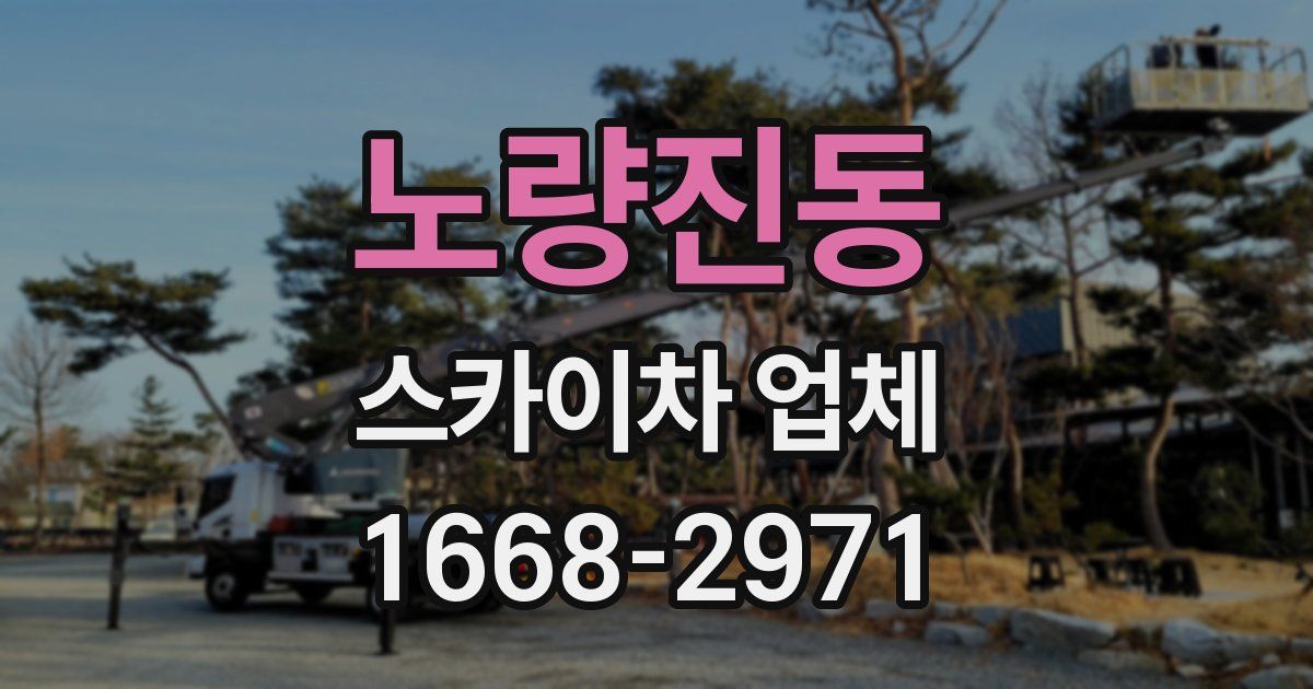 노량진동 스카이차 업체