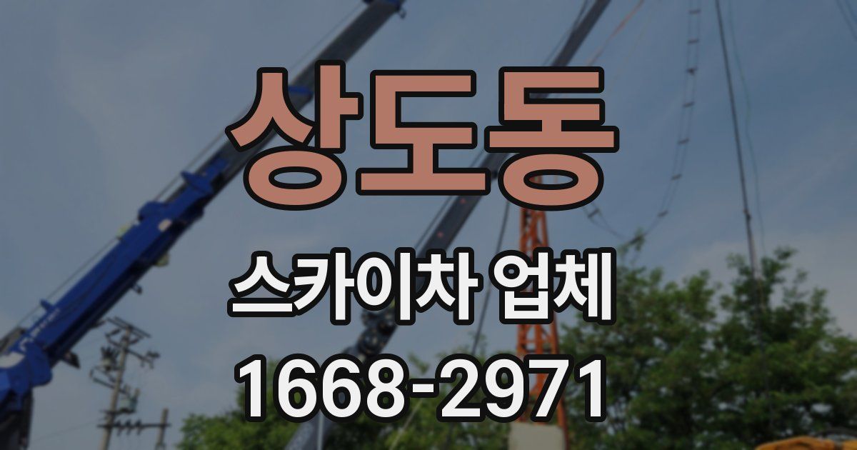 상도동 스카이차 업체