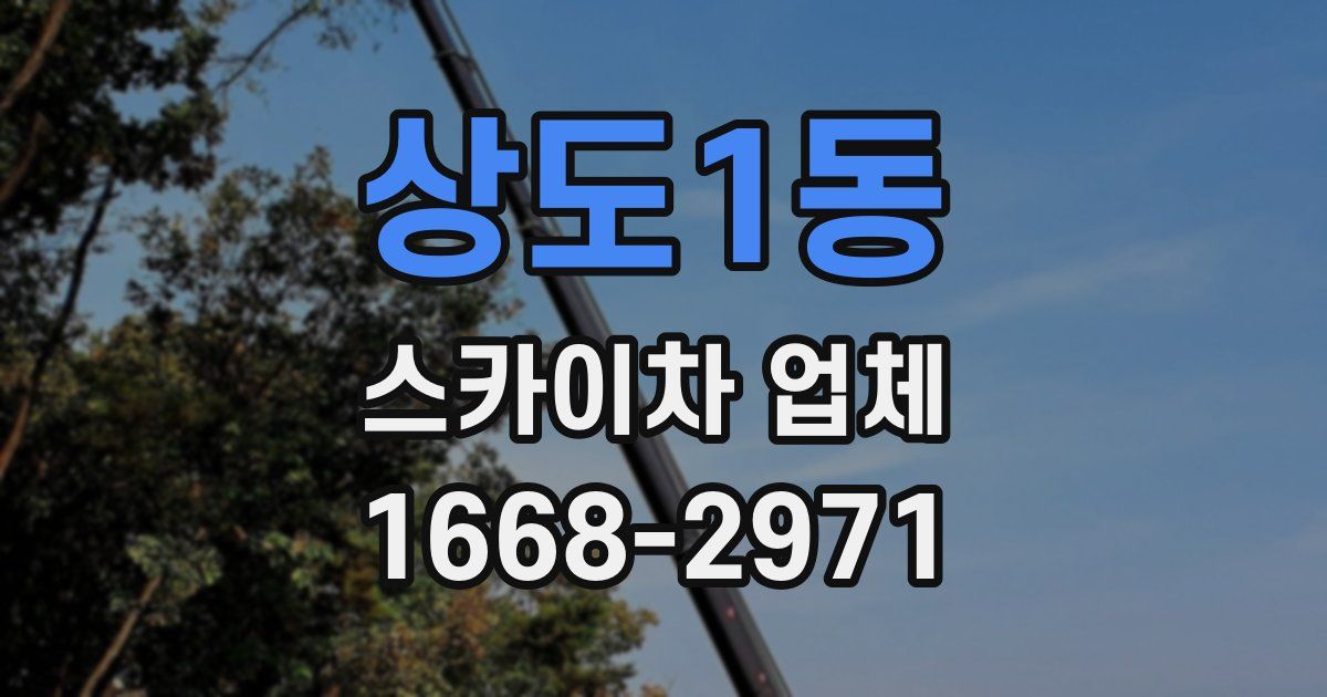 상도1동 스카이차 업체
