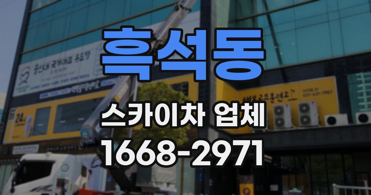 흑석동 스카이차 업체