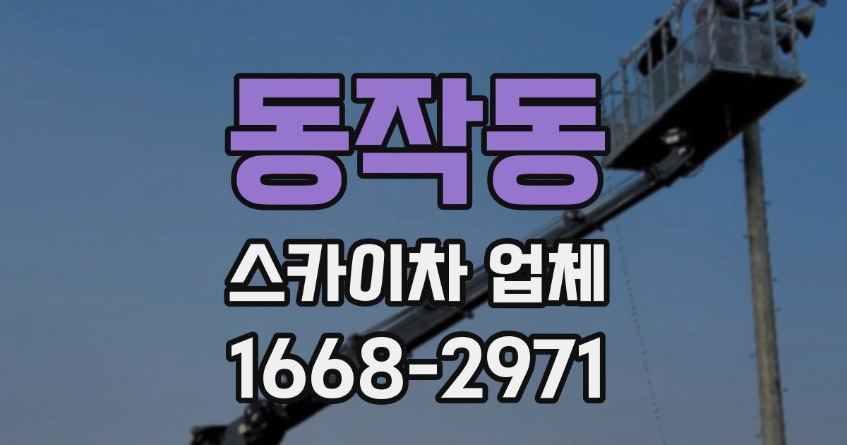 동작동 스카이차 업체