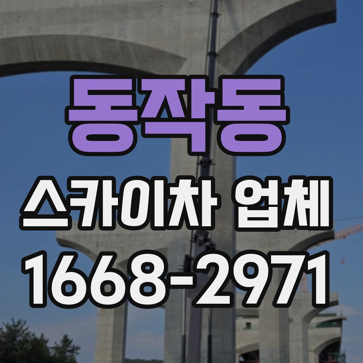 동작동 스카이차 업체