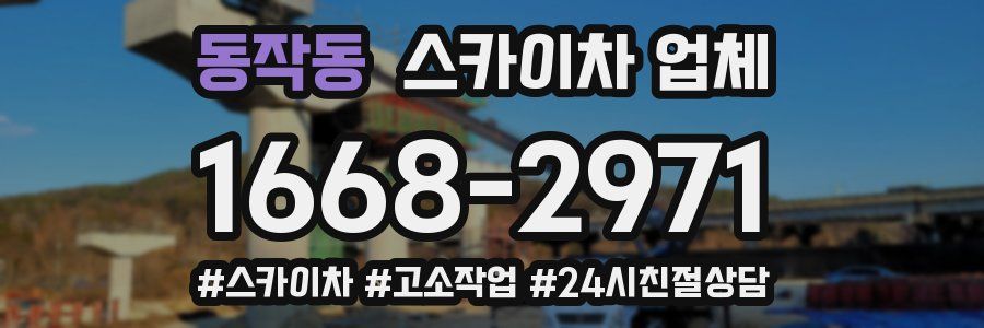 동작동 스카이차 업체