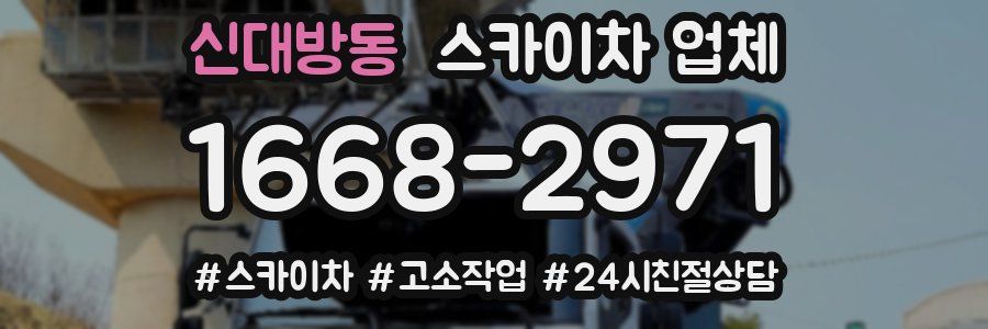 신대방동 스카이차 업체