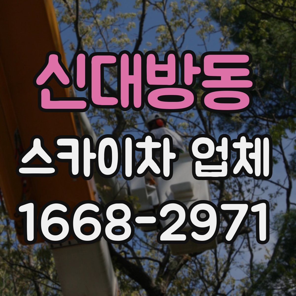 신대방동 스카이차 업체