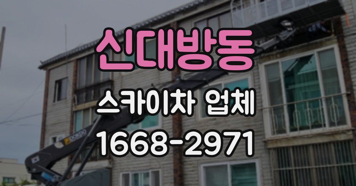 신대방동 스카이차 업체