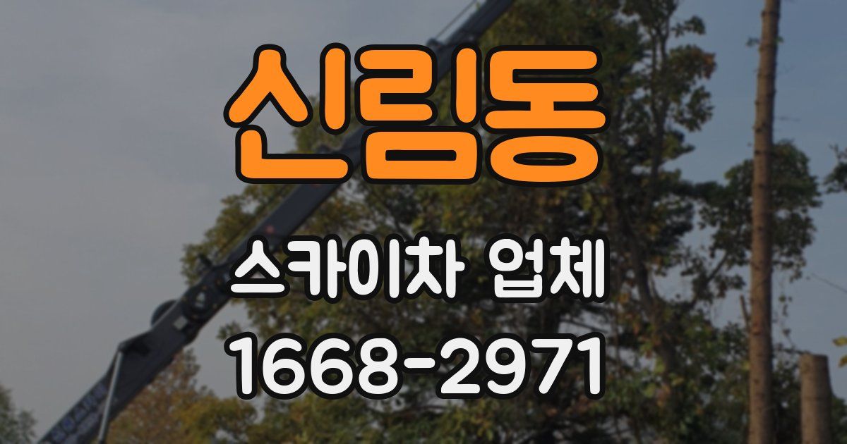 신림동 스카이차 업체