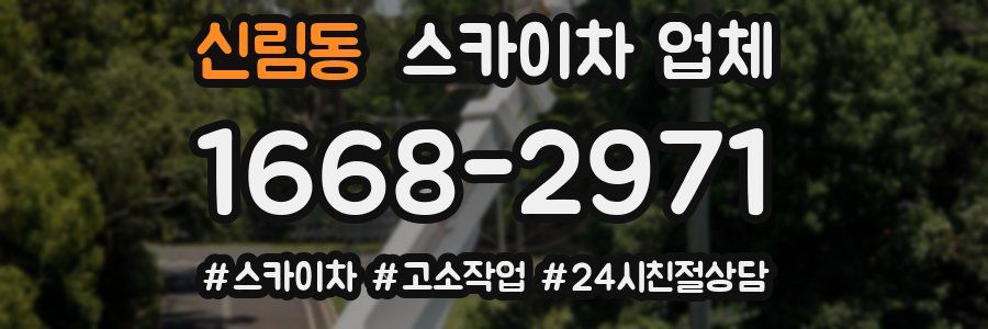 신림동 스카이차 업체