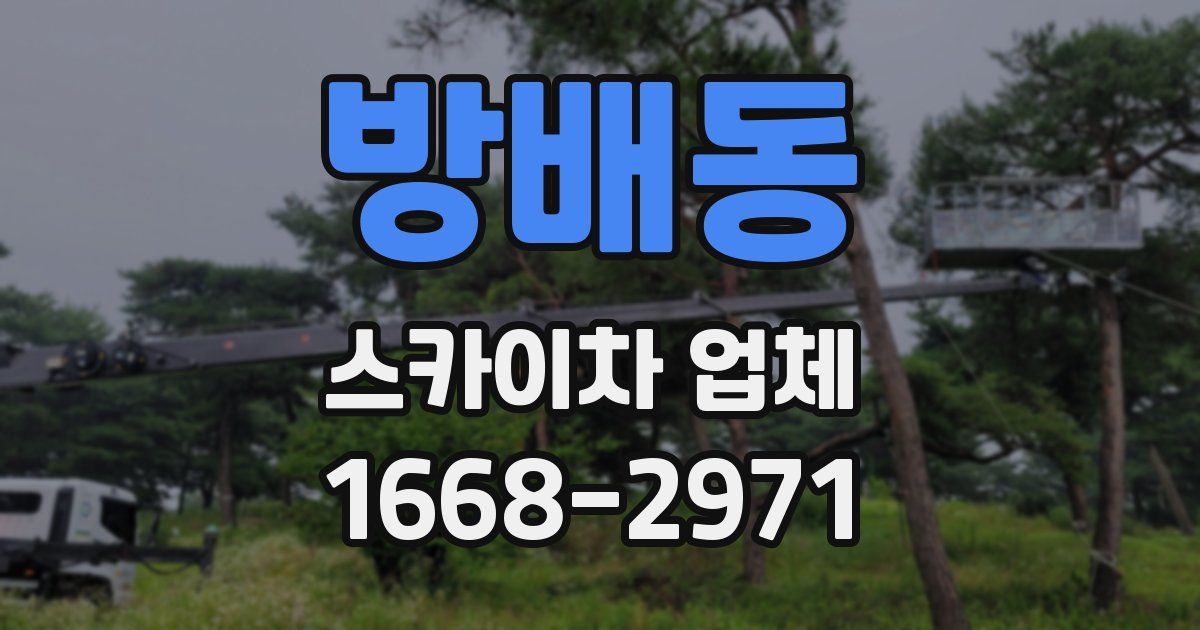 방배동 스카이차 업체