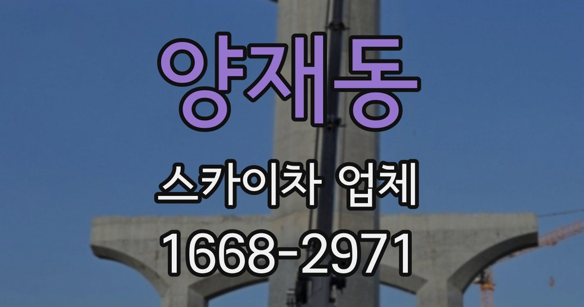 양재동 스카이차 업체