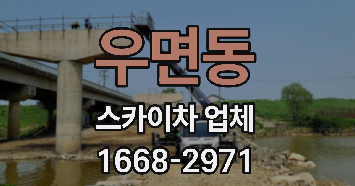 우면동 스카이차 업체