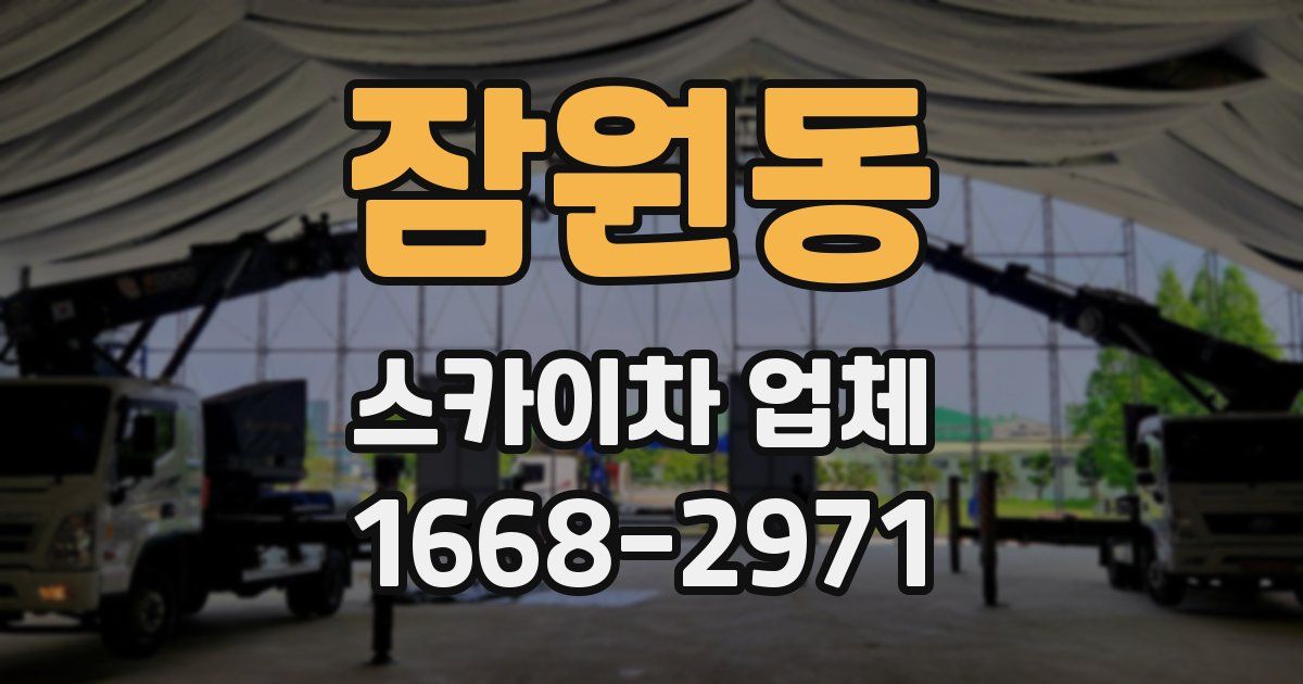 잠원동 스카이차 업체