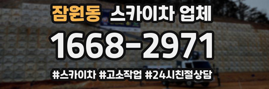 잠원동 스카이차 업체