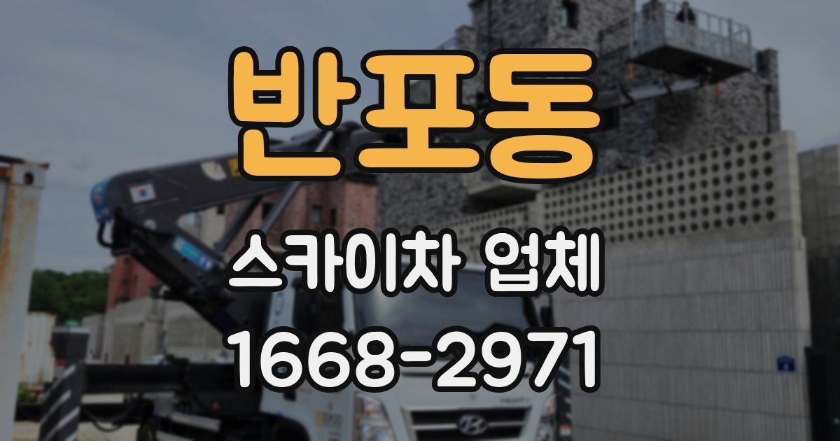 반포동 스카이차 업체