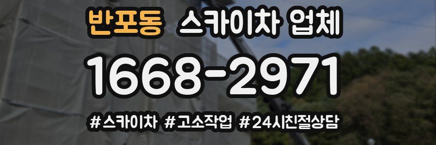 반포동 스카이차 업체
