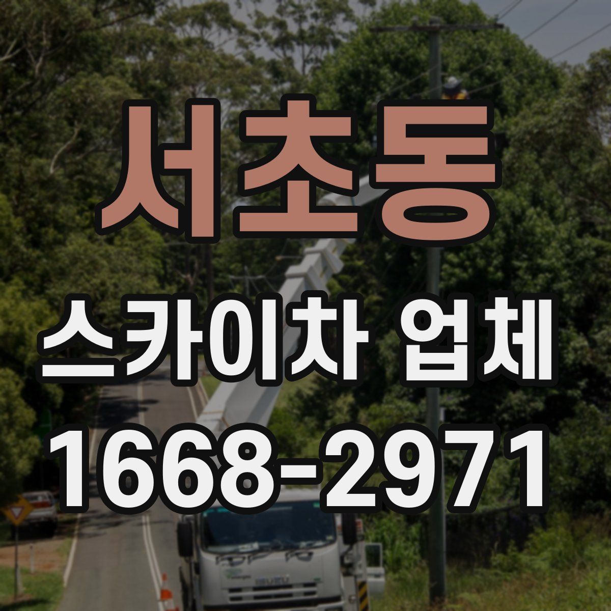 서초동 스카이차 업체