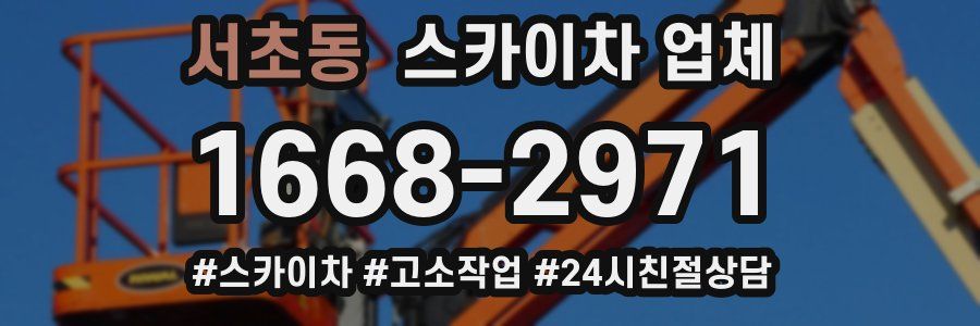 서초동 스카이차 업체