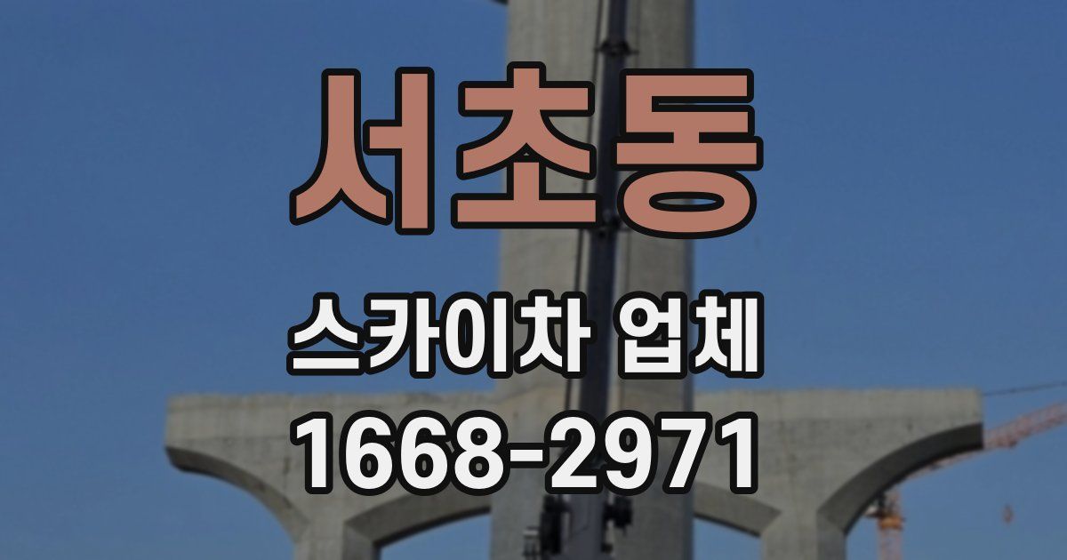 서초동 스카이차 업체