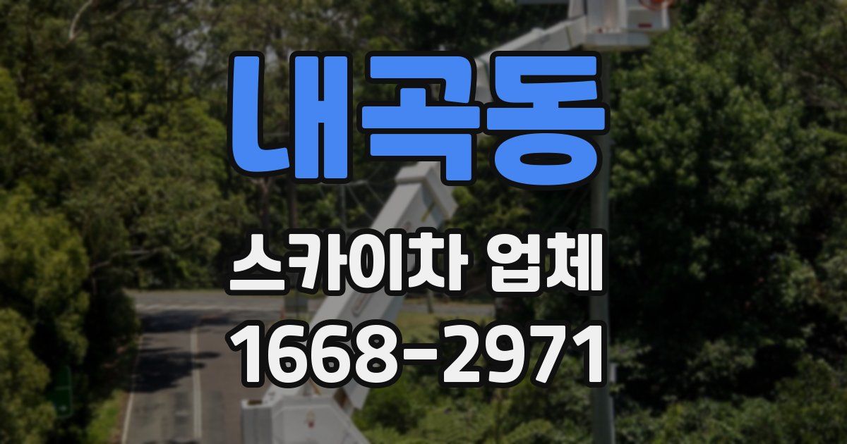 내곡동 스카이차 업체