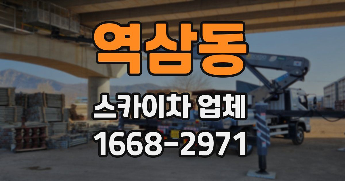 역삼동 스카이차 업체
