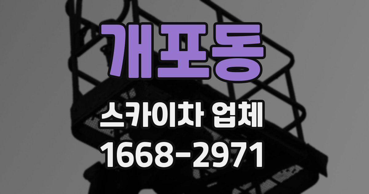 개포동 스카이차 업체