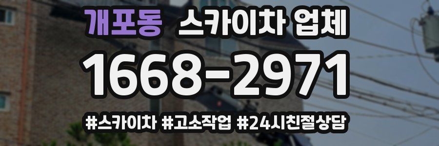 개포동 스카이차 업체