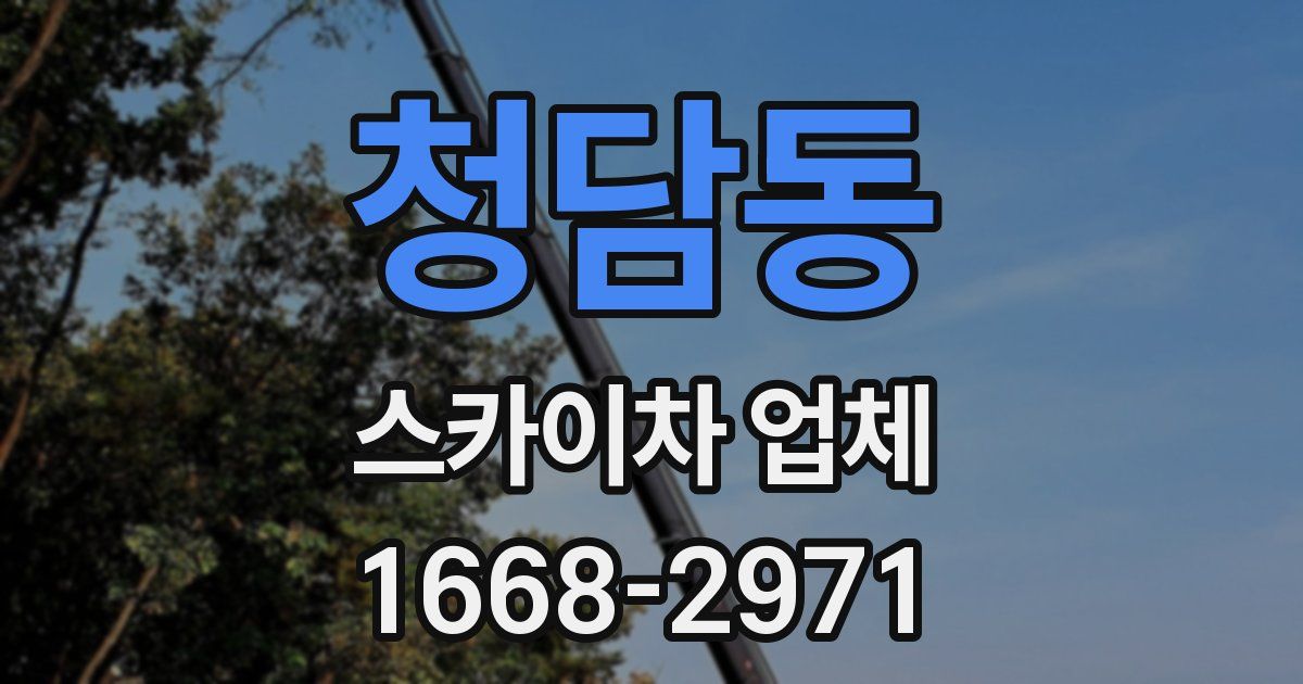 청담동 스카이차 업체