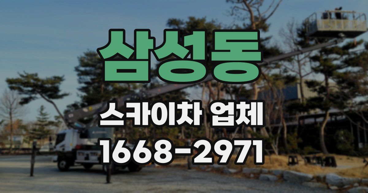 삼성동 스카이차 업체