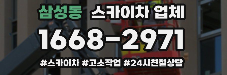 삼성동 스카이차 업체