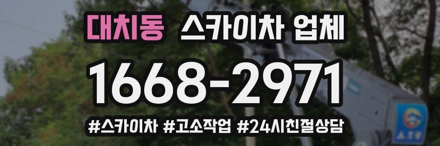 대치동 스카이차 업체