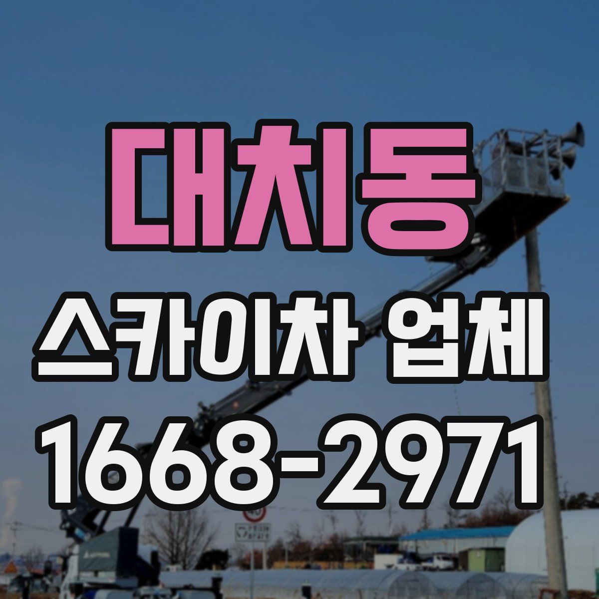 대치동 스카이차 업체