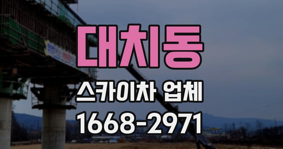 대치동 스카이차 업체