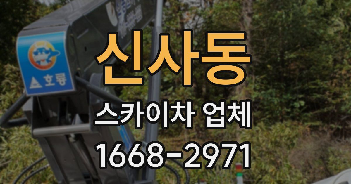 신사동 스카이차 업체
