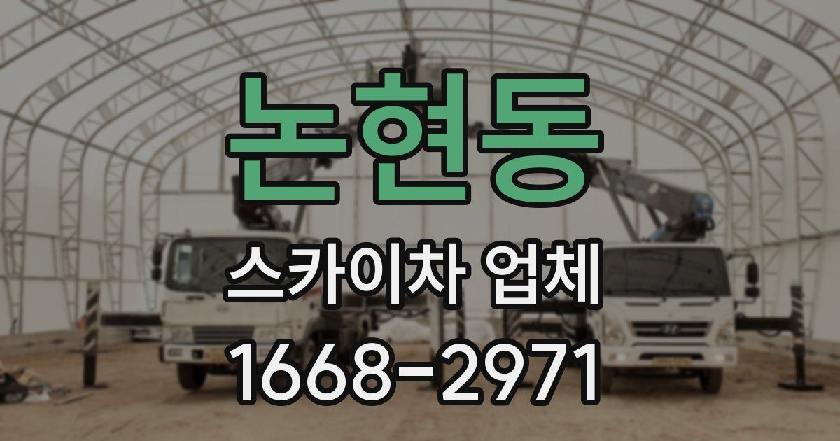 논현동 스카이차 업체