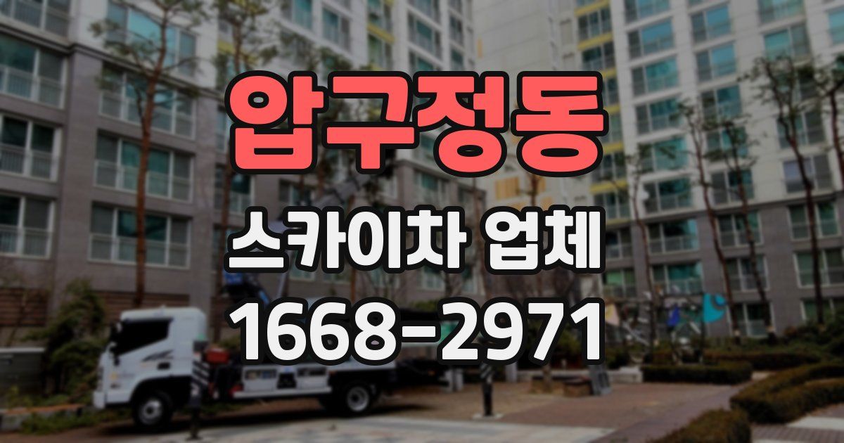 압구정동 스카이차 업체